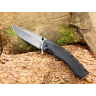 Нож BOKER T-REX EYETOOTH BK01RY971